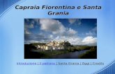 Capraia Fiorentina e Santa Grania IntroduzioneIntroduzione | Il patrono | Santa Grania | Oggi | CreditsIl patrono Santa Grania Oggi Credits.