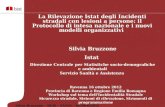 Silvia Bruzzone – DCIS – SAN/G – Incidentalità stradale Ravenna 16 ottobre 2012 Provincia di Ravenna e Regione Emilia Romagna Workshop sul tema dellIncidentalità