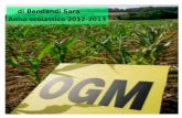 Di di Bendandi Sara Anno scolastico 2012-2013. Cosa sono gli Ogm ? OGM sigla di Organismi Geneticamente Modificati Sono organismi a cui possono essere.