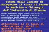 Schemi dalle lezioni di citologia per il corso di laurea in Medicina e Chirurgia dellUniversità di Firenze Questa selezione dagli schemi proiettati dal.