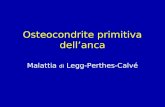 Osteocondrite primitiva dellanca Malattia di Legg-Perthes-Calvé