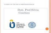 C ORSO DI T ECNICA P ROFESSIONALE Dott. Prof.Silvia Cecchini.