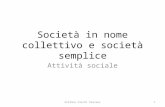 Società in nome collettivo e società semplice Attività sociale 1Stefano Cacchi Pessani.