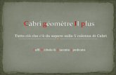 Tutto ciò che cè da sapere sulla 5 colonna di Cabri Caffi Michele & Giacomo Spedicato.