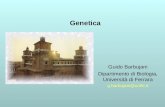 Genetica Guido Barbujani Dipartimento di Biologia, Università di Ferrara g.barbujani@unife.it.