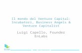 Il mondo del Venture Capital: Incubatori, Business Angels & Venture Capitalist Luigi Capello, Founder EnLabs.