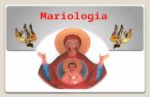 Mariologia. Mariologia Maria - logia discorso su Maria.