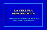 LA CELLULA PROCARIOTICA Caratteristiche strutturali e funzionali della cellula procariotica.