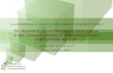 Valerio Blini (CliCon S.r.l.) Gli strumenti di monitoraggio della spesa e dei consumi relativi ai dispositivi medici nellambito del SSN La sostenibilità