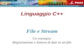 Linguaggio C++ Un esempio: Registrazione e lettura di dati in un file File e Stream.