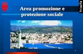 1 Area promozione e protezione sociale. I PIANI DI ZONA Il processo che i Comuni della provincia di Trieste si apprestano ad avviare, finalizzato alla.