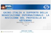 W ORKSHOP MINNI Roma, 17-18 aprile 2013 GAINS-ITALIA A SUPPORTO DELLA NEGOZIAZIONE INTERNAZIONALE : LA REVISIONE DEL P ROTOCOLLO DI G ÖTEBORG Ilaria DElia.