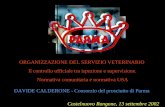 Castelnuovo Rangone, 13 settembre 2002 ORGANIZZAZIONE DEL SERVIZIO VETERINARIO Il controllo ufficiale tra ispezione e supervisione. Il controllo ufficiale.