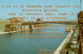 « Se vi si domanda come Taranto sia diventata grande, come si conservi tale, come si aumenti la sua ricchezza, voi potete con serena fronte e con gioia.