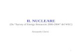 1 IL NUCLEARE (Da Survey of Energy Resources 2000-2004 del WEC) Alessandro Clerici.