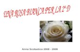 Anno Scolastico 2008 - 2009 Con Una rosa bianca per la 2ª D abbiamo affrontato, allinizio dellanno, lo studio del genere poetico, acquisendo strumenti.