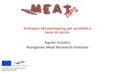 Sviluppo del packaging per prodotti a base di carne Ágnes Kovács Hungarian Meat Research Institute Leonardo da Vinci.