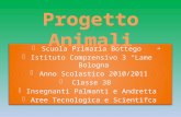 Scuola Primaria Bottego Istituto Comprensivo 3 Lame Bologna Anno Scolastico 2010/2011 Classe 3B Insegnanti Palmanti e Andretta Aree Tecnologica e Scientifca.