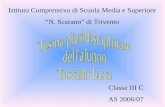 Classe III C AS 2006/07 Istituto Comprensivo di Scuola Media e Superiore N. Scarano di Trivento.