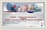 ODCEC - Ordine Provinciale di Foggia Dottori Commercialisti ed Esperti Contabili Avv. Alberto Manzella / Avvocato in Torino Dott. Federico Gattinoni