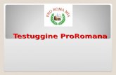 Testuggine ProRomana. Damose da fa,semo Romani (Giovanni Paolo II – 27.02.2004)