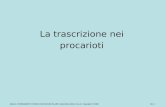 10 | 1Allison, FONDAMENTI DI BIOLOGIA MOLECOLARE, Zanichelli editore S.p.A. Copyright © 2008 La trascrizione nei procarioti.