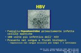 Ott MJ et al. J Pediatr Health Care 1999; 13(5):211–216 Ribeiro RM et al. Microbes Infect 2002; 4:829–835 MMWR 2003; 52:1–33 HBV Famiglia Hepadnaviridae.