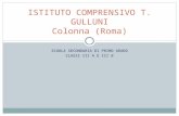 SCUOLA SECONDARIA DI PRIMO GRADO CLASSI III A E III B ISTITUTO COMPRENSIVO T. GULLUNI Colonna (Roma)