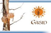 Gum Arabic Sudanese International Distribution GASID è unazienda italiana con sede a Volvera, in provincia di Torino. 125 Km.