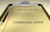 Collaborare online Chat, forum, blog, CMS. Da vetrina… Siti web per promuovere Siti per informare Siti portali e motori di ricerca.