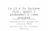 La LS e la lezione CLIL: quali i problemi? E come ovviare Carmel Mary Coonan Coordinatore gruppo di ricerca PRIN Università Ca Foscari Venezia 1.