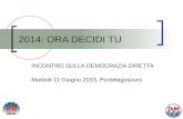 2014: ORA DECIDI TU INCONTRO SULLA DEMOCRAZIA DIRETTA Martedi 11 Giugno 2013, Pontelagoscuro.