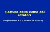 Rottura della cuffia dei rotatori (Ringraziamenti a N. e G. Walch ed a H. Coudane)