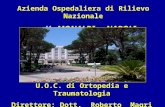 Azienda Ospedaliera di Rilievo Nazionale V. MONALDI - NAPOLI U.O.C. di Ortopedia e Traumatologia Direttore: Dott. Roberto Magri.