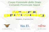 Marigliano, 23 gennaio 2010 Corpo Forestale dello Stato Comando Provinciale Napoli Ing. Mario AciernoIng. Cosimo CantatoreP.I. Alessandro Rossi.
