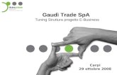 Gaudì Trade SpA Tuning Struttura progetto E-Business Carpi 29 ottobre 2008.