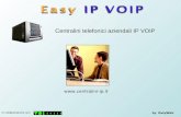 Centralini telefonici aziendali IP VOIP by EasyWeb  In collaborazione con.