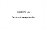 Capitolo VII La struttura operativa. 2 1. Considerazioni introduttive 2. Il concetto di struttura operativa 3. Le diverse configurazioni 4. La progettazione.