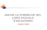 ANCHE LE FORMICHE NEL LORO PICCOLO SINCAZZANO. ANNO 2000.