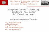 Dipartimento di Economia e Politica Agraria Università di Napoli Federico II Progetto Equal Capacity building nel campo dellagriturismo Agriturismo e fabbisogni.