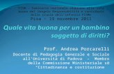 Prof. Andrea Porcarelli Docente di Pedagogia Generale e Sociale allUniversità di Padova – Membro della Commissione Ministeriale su Cittadinanza e costituzione.