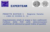 PROGETTO BIOTECH 1 Regione Veneto – LINEA DI RICERCA N. 14 Inquinamento virale in acqua e loro sedimenti: lutilizzo della PCR nelle determinazioni analitiche.