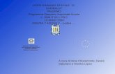Ministero dellIstruzione, dellUniversità e della Ricerca Direzione Generale Relazioni Internazionali LICEO GINNASIO STATALE G. GARIBALDI PALERMO Programma.