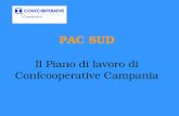 PAC SUD Il Piano di lavoro di Confcooperative Campania.