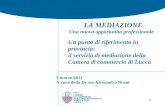 1 LA MEDIAZIONE Una nuova opportunità professionale Un punto di riferimento in provincia: il servizio di mediazione della Camera di commercio di Lucca.