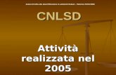 CNLSD Attività realizzata nel 2005 Azioni di lotta alla desertificazione in ambienti italiani – Palermo 25/03/2006.
