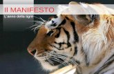Il MANIFESTO Lanno della tigre. Il manifesto è una tipologia di affissione esterna finalizzata alla presentazione e alla promozione di un prodotto/servizio.