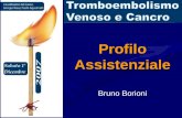 Profilo Assistenziale Bruno Borioni. Jesi 1 dicembre 2007 IL MMG.
