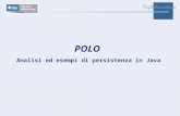 POLO Analisi ed esempi di persistenza in Java. Il Progetto Polo è unapplicazione CRM ( Customer Relationship Managemen ) in Java, in via di sviluppo tramite.