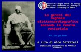 Titolo La genesi del segnale elettrocardiografico secondo la teoria vettoriale Parte prima a cura di Aldo Ferraresi. animazione interattiva di Antonio.